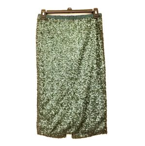 NWOT Sequin pencil skirt